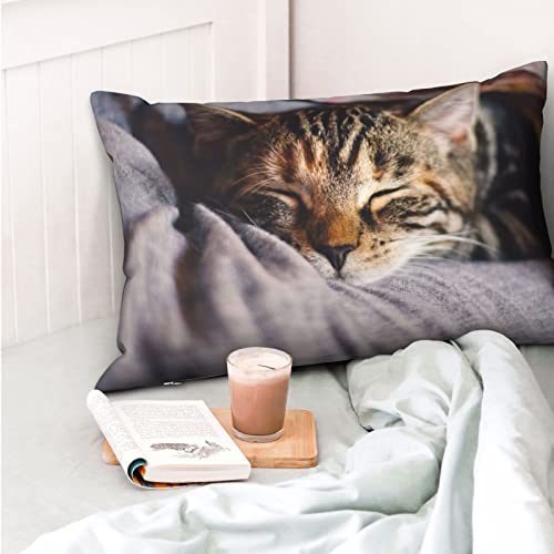 猫 サバ 睡眠 43x63cm 「ちょうどいいサイズ」枕カバーは標準サイズ（43x63cm 50x75cm）の枕に適用します 。枕カバーx1、コアは含まれていません。 「素材:綿・ポリエステル混」天然